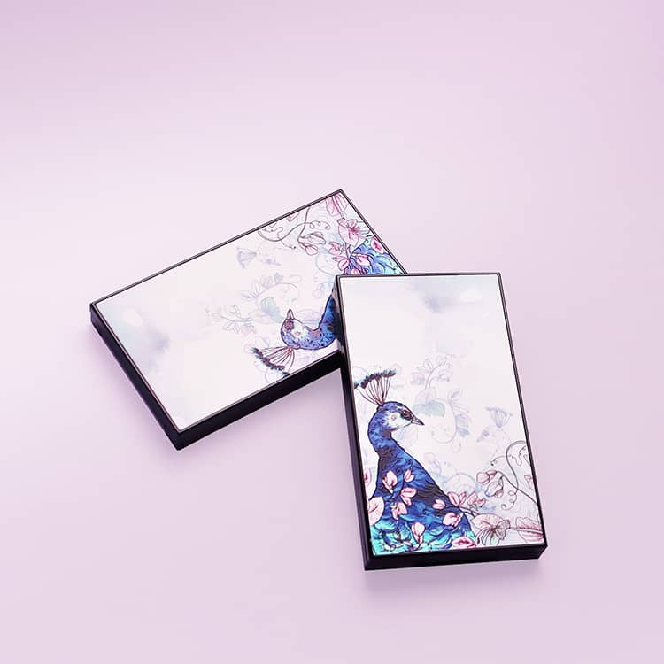Empty eyeshadow palette case